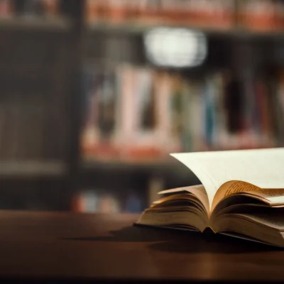 Violência doméstica em condomínios e dever legal do síndico