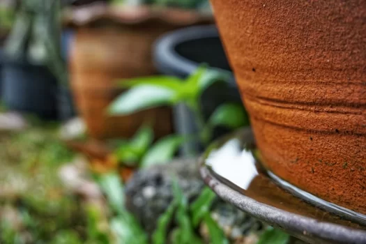 Qual o papel do síndico no combate à dengue em condomínios?