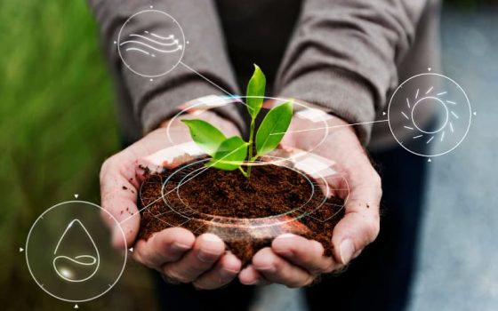 Sustentabilidade em Condomínios: práticas e benefícios para um futuro mais verde 