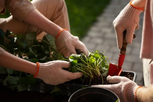 Implantação de hortas comunitárias em condomínios: sustentabilidade e bem-estar coletivo
